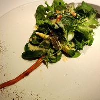 Wattle Tokyo - 