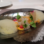 グランド ダイア - 平貝、平目