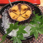 照寿司 - 2018年6月、山口安岡の海胆