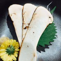 柳家錦 - 