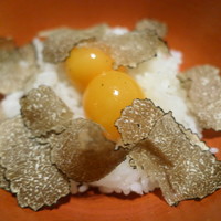 恵比寿 希鳥 - ちょうちんとトリュフでTKG