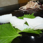 菊水鮓 - ケンサキイカ