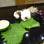 菊水鮓 - でんすけ穴子（大きいむちっとした穴子）