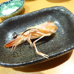 菊水鮓 - 海老の頭焼き