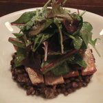 ビーボ デイリースタンド - 「鯖の燻製とレンズ豆のサラダ」：適度なスモーク加減が脂ののった鯖を引き締めてます！