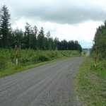 カフェ ブーオ - ブーオへつづく道