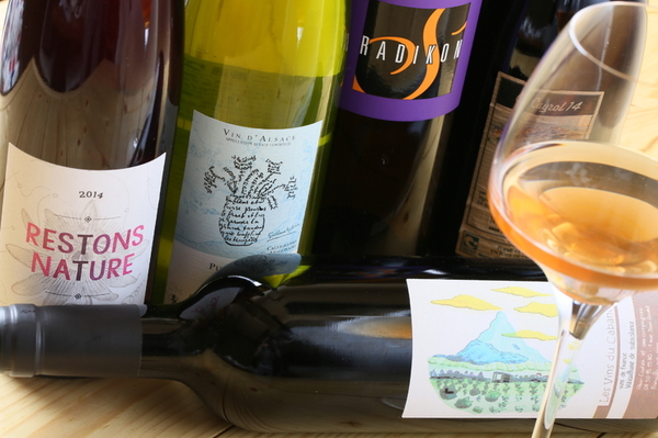 らく天（らくてん） - 小樽（居酒屋）の写真