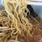 ニューラーメンショップ宝田 - ツルシコ食感の中細麺