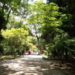 京懐石 吉泉 - 糺の森を散策し気持ちを清めいざお店へ