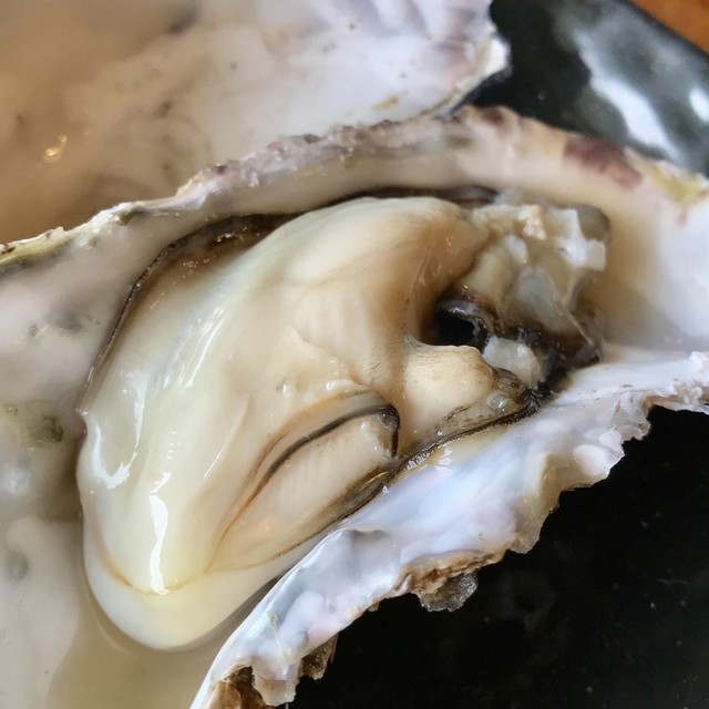 炭焼 炙屋 厚岸 魚介料理 海鮮料理 食べログ