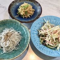 CINA New Modern Chinese - 