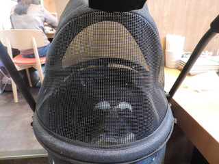 熟成和牛焼肉エイジング・ビーフ - キャリーであれば、店内ペット可