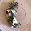 Le Trefle - 料理写真: