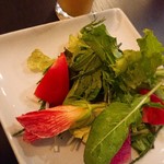 ブラッスリー プティ モンタニュ - サラダに桃のドレッシング。
                                サラダは彩りよく、甘いドレッシングで(^.^)