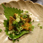 禅紫 - 小あわび　肝しょうゆ