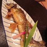 活鮎塩焼き
