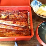 うなぎ亭 友栄 - 上うな重