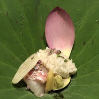 菊乃井 本店 - 