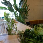 エンボカ - 緑一杯。