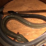 にょろ助 瓢六亭 - 霞ヶ浦の天然鰻