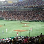 ニューヨークシティサンド - ドームのオーロラチケットです‼️(#^.^#)