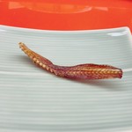 くすのき - ⑧何かの骨(･･;)