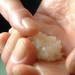 三代目本家 金鮨