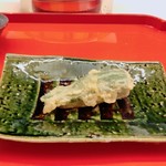 くすのき - 唐辛子