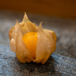 寿司栄 - 2018.8 露地物のホオズキ