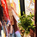 Okinawa Izakaya Paradaisu - 緑のある生活に憧れています
      とゆうわけで、パラの入り口に大屋さんから大量に頂いたミントを生けてみました