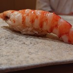 鮨 つぼみ - 車海老