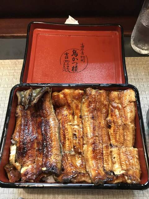 小田原 鳥かつ楼で鰻重を頂く By ムロさん 鳥かつ楼 とりかつろう 小田原 うなぎ 食べログ