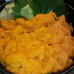 札幌市場めし　まるさん亭 - 利尻産エゾばふん、塩水のうに丼のアップ　【　２０１１年８月　】16