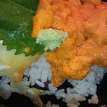 札幌市場めし　まるさん亭 - 丼の断面　【　２０１１年８月　】19