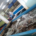 札幌市場めし　まるさん亭 - 蟹の生簀　【　２０１１年８月　】