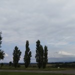 バローレ - 新栄の丘