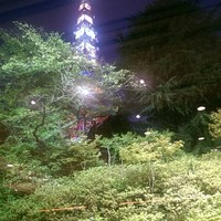 和食 清水 - 