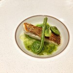 酒の宿 玉城屋 - 真鯛のソテー 青さのりソース