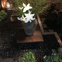 雪花 - 