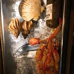 旬酔基じ - ネタケース♬︎