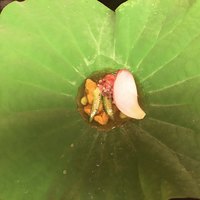 にくの匠 三芳 - 