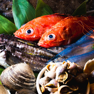 北海道直送♪季節の道産食材！（鮮魚、干物、ジビエ、野菜）