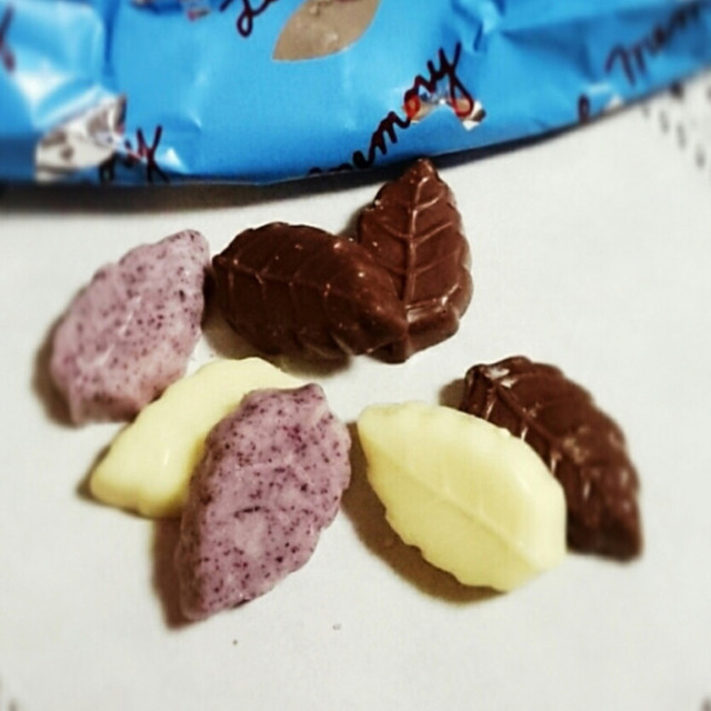 イオン茨木sc 旧マイカル茨木 が４月２９日に改装リニューアルオープン 茨木市 の気になる情報