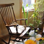 夕日の見える丘 - 