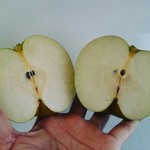 セントル ザ・ベーカリー - 幸水(梨)