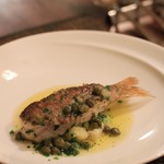 サラマンジェ ド ヨシノ - くろむつ