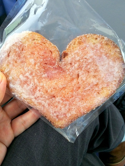 網走スウィーツ　スポンジ屋 - 桂台（ケーキ）の写真