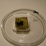 フロリレージュ - 今回の四角いオリーブ。色は少し地味だけどやはりおいしい。