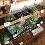 イージーライフカフェ - 