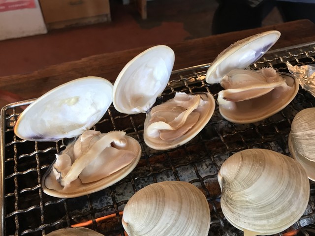 天然ハマグリの水揚げ日本一 鹿島灘の絶品焼き蛤は味も日本一 茨城県鹿嶋市大字荒野 By さすらいの旅人 全国各地孤独のグルメ 浜茶屋 やましょう 荒野台 魚介料理 海鮮料理 食べログ